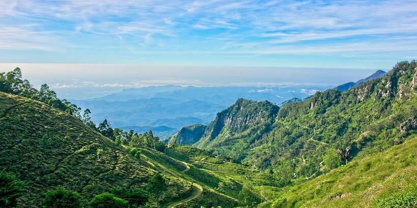 Sri Lanka: 2-Day wildlife tour; rainforest and National park - Nuwara Eliya tea trail: Gregory Lake stop, factory visit, and tea gardens