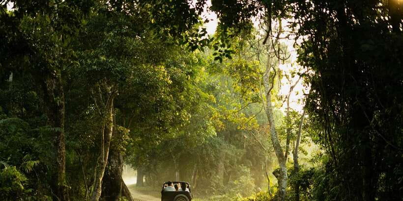 Sri Lanka: 2-Day wildlife tour; rainforest and National park - Price and what you really get for $350