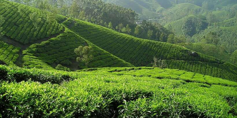 Sri Lanka: 2-Day wildlife tour; rainforest and National park - Logistics and packing tips that prevent stress