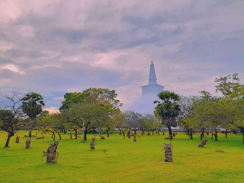 Sri Lanka: 4-Day Private Tour Focusing on Cultural Triangle - Clothing, Timing, and the Stuff That Keeps It Smooth