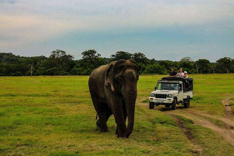 Sri Lanka: 4N5Day guided FULL TOUR with hotel accommodations - Day 1: Colombo to Sigiriya + Dambulla Caves and Lion Rock