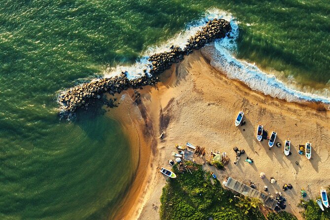Sri Lanka 5 Day tour Best Nature and Culture include top hotels - Day 2: Pidurangala sunrise, a Minneriya elephant safari, then a spice stop en route to Kandy