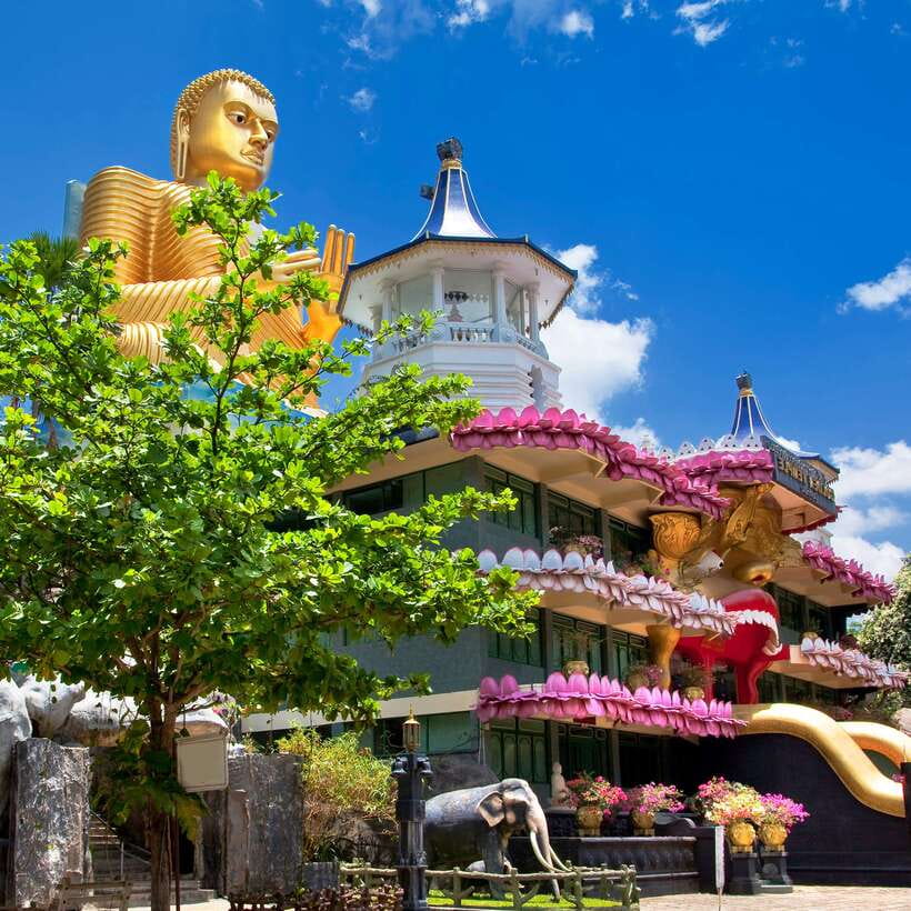 Sri Lanka: 5 Days Multi City Sightseeing Tour - Transportation reality: you will be on the road