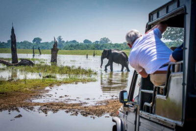Sri Lanka: 5 Days Multi City Sightseeing Tour - The big picture: what this 5-day Sri Lanka route really delivers