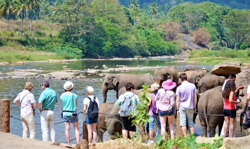 Sri Lanka: 7-Day Off-The-Beaten Path Private Tour - Day 7: Back to Colombo with a final hit of temples and parks