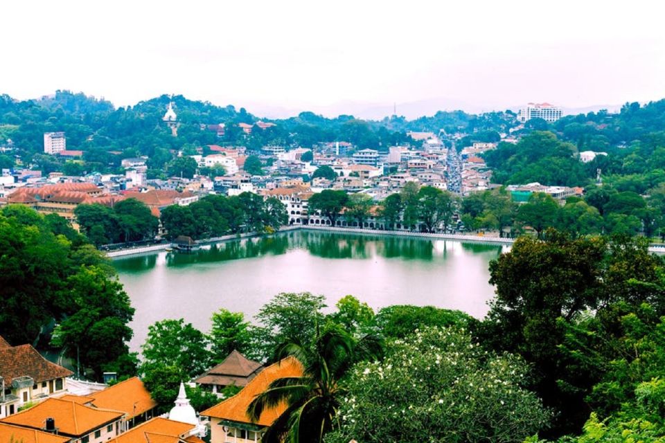 Sri Lanka: 7-Day Off-The-Beaten Path Private Tour - Day 3: Kandy on the cultural engine (Dambulla, spice garden, and Tooth Relic)