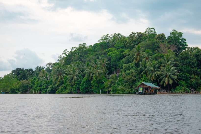 Sri Lanka Bentota: Private Mangrove Lagoon and River Cruise - Price and Value: What $58 per Group Really Buys You