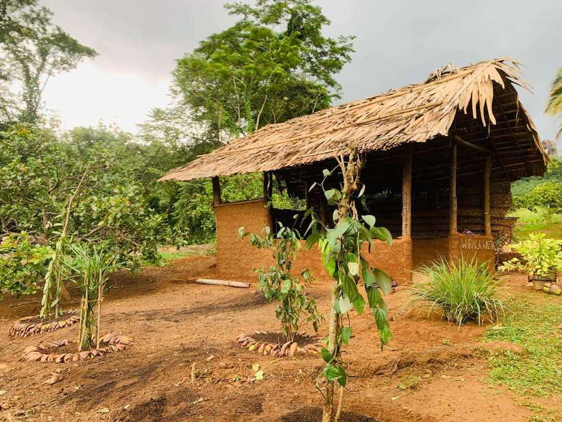 Sri Lanka: Ceylon Cinnamon Experience & Spice Garden Tour - Spice garden walk: black pepper, cloves, cardamom, and more
