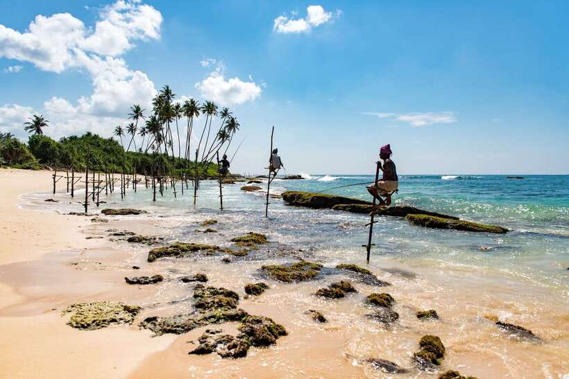 Sri Lanka Green Bless- 2-day Private Trip To Enjoy Nature - A 2-Day Hit List of Sri Lanka’s Wild South