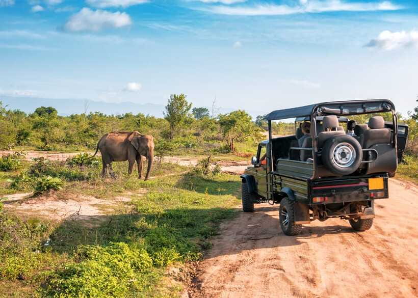 Sri Lanka Green Bless- 2-day Private Trip To Enjoy Nature - Yala Morning Safari: Big Cats Are the Main Event