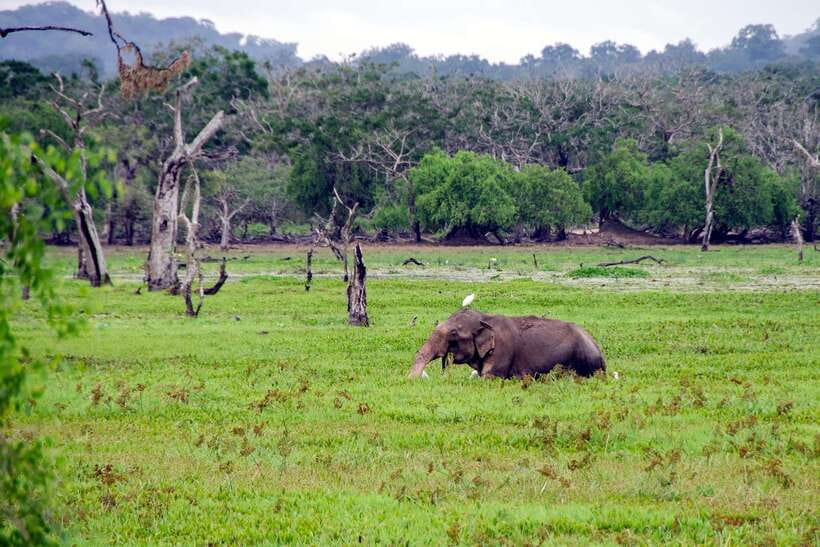 Sri Lanka Green Bless- 2-day Private Trip To Enjoy Nature - Galle Fort Walking Tour: Where the Day Slows Down
