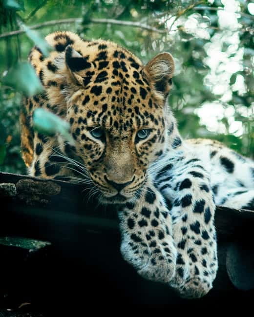 Sri Lanka Private 10-Day Round Tour Car, Guide, Hotels, Food - Key things that make this tour work