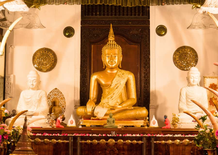 Sri Lanka Private 2-day Tour:Train Trip, Kandy, Nuwara Eliya - Guide and timing: the difference between a smooth trip and a frustrating one