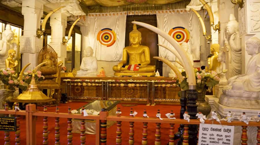 Sri Lanka Private 2-day Tour:Train Trip, Kandy, Nuwara Eliya - The Hill Country Blue Train is the main event