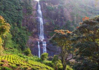 Sri Lanka Private 2-day Tour:Train Trip, Kandy, Nuwara Eliya - Day 1: Colombo-area spice garden, then Kandy’s Tooth Relic district