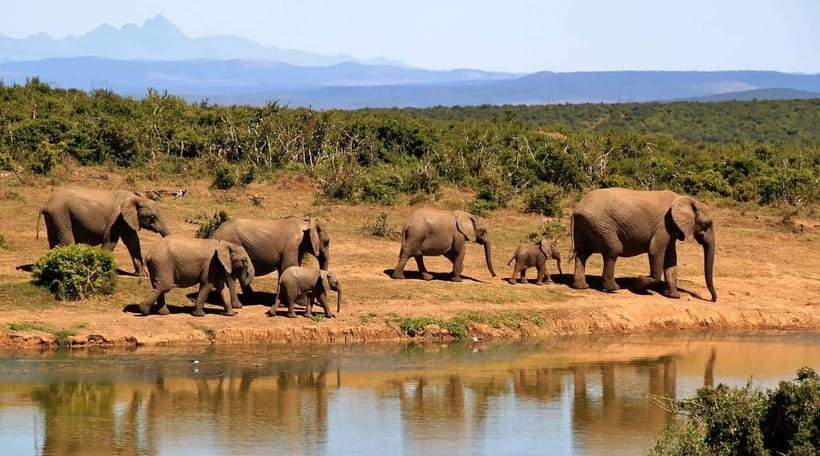 Sri Lanka Private 3-nights Tour Transport, Guide, Hotels - A quick reality check on animal attractions and ethical choices
