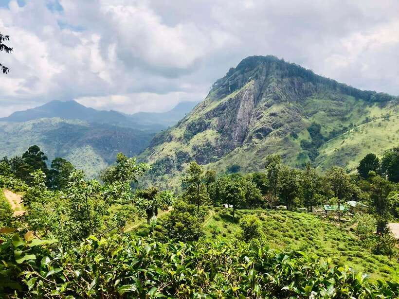 Sri Lanka Private 3-nights Tour Transport, Guide, Hotels - Sigiriya Rock and Dambulla cave temple: icons with very different vibes
