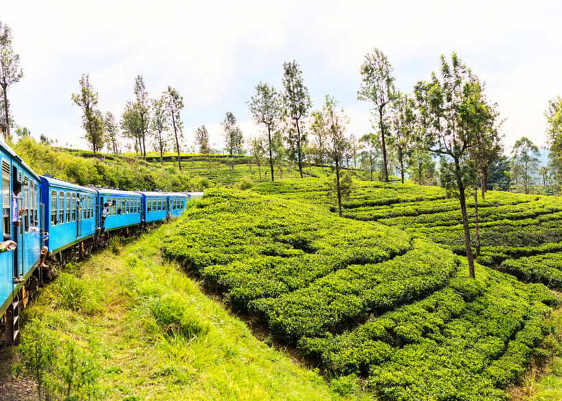 Sri Lanka Private 3-nights Tour Transport, Guide, Hotels - The hill country blue train: how to enjoy it when class and seats aren’t guaranteed