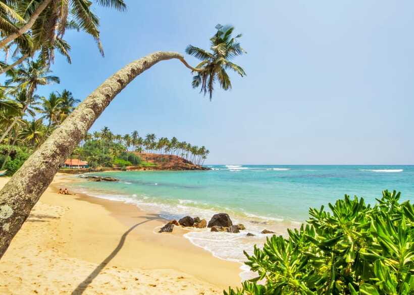 Sri Lanka Private 3-nights Tour Transport, Guide, Hotels - Ella to Colombo via Mirissa, Galle Fort, and Bentota beaches