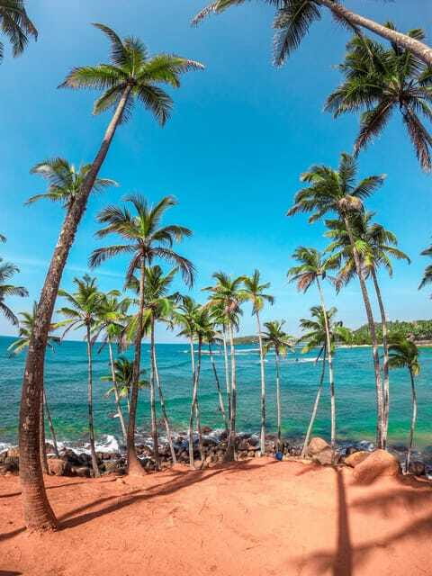 Sri Lanka Private 8-day Tour; Transport, Guide, Hotels, Food - Day 8: Southwest coast to Colombo airport or hotel of your choice