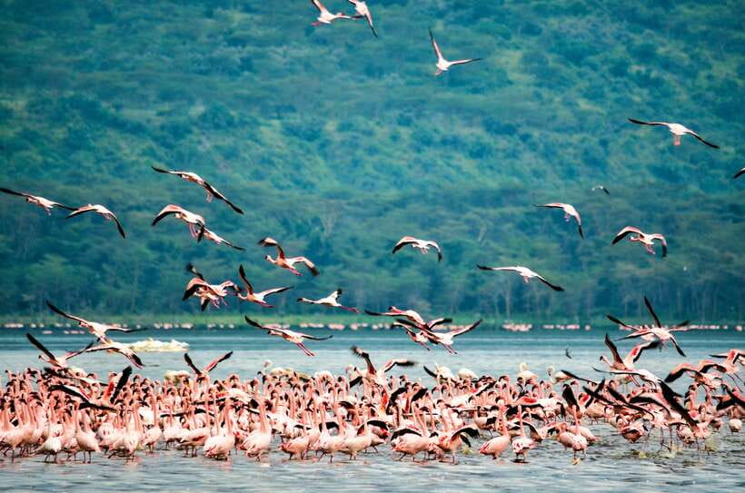 Sri Lanka Private 8-day Tour; Transport, Guide, Hotels, Food - The big-picture value: what you’re buying for $899