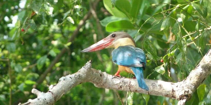 Sri Lanka Private Galle Tour: stilt fisherman, Galle Fort... - Should You Book It?