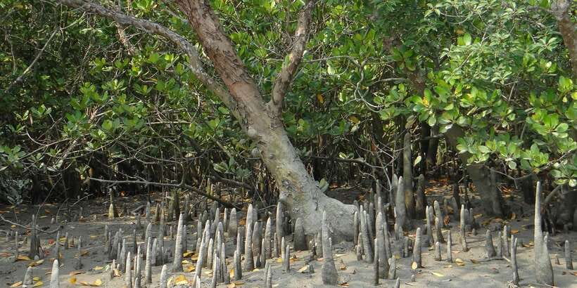 Sri Lanka Private Galle Tour: stilt fisherman, Galle Fort... - Price and Value: Is $70 Worth It Here?