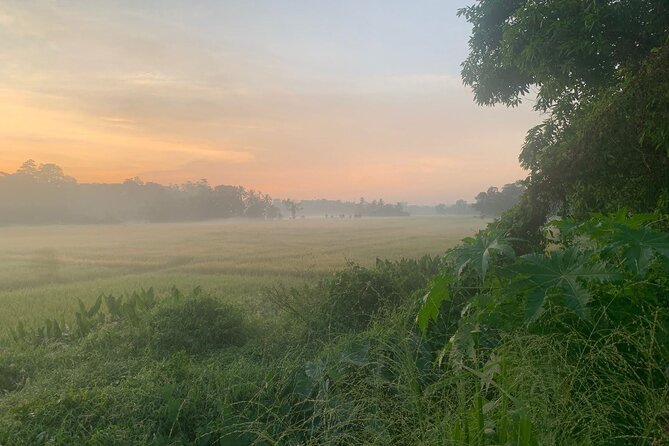 Sri Lanka - Private Ratnapura Gem Tour with Gem and jewelry Expert - Key Highlights You’ll Care About