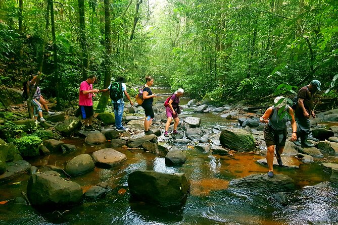 Sri Lanka Sinharaja Rain Forest Tour with Transport - Key things I’d pay attention to