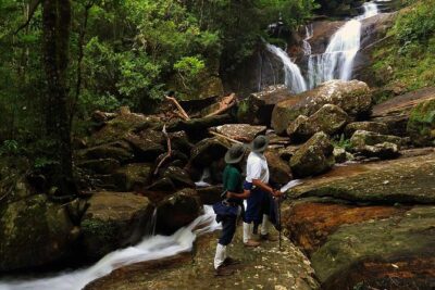 Sri Lanka Sinharaja Rain Forest Tour with Transport - Bentota pickup and an air-conditioned ride that actually helps