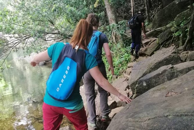 Sri Lanka Sinharaja Rain Forest Tour with Transport - The hidden power of a private tour: questions and control