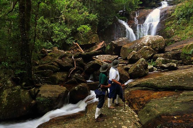 Sri Lanka Sinharaja Rain Forest Tour with Transport - Bentota pickup and an air-conditioned ride that actually helps