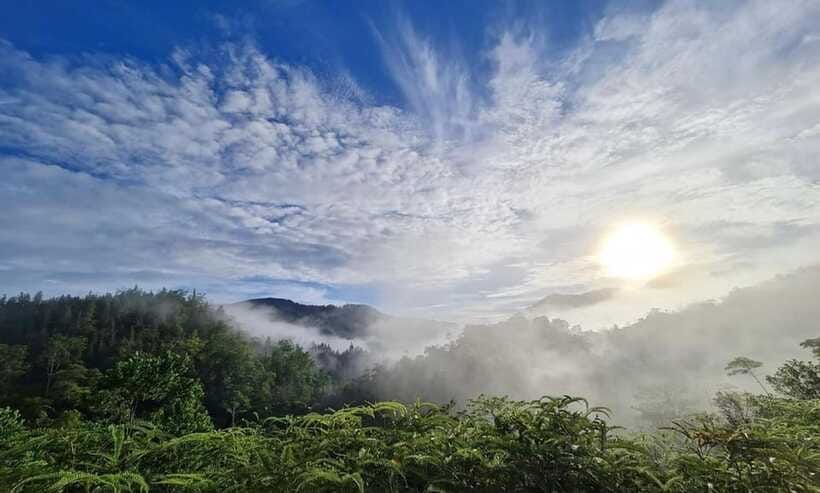 Sri Lanka : Sinharaja Rainforest Guided Trek with Pickup - The guide connection: what makes Mahinda and Alagaraja’s days stand out