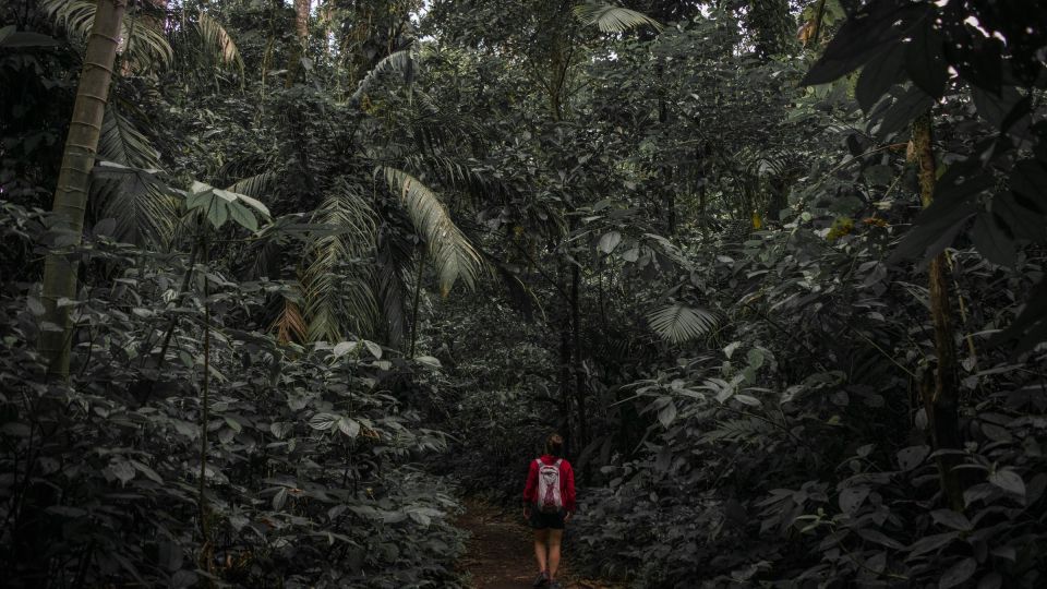 Sri Lanka: Sinharaja rainforest tour from Colombo, Bentota - Who This Tour Fits Best (and Who Should Skip It)