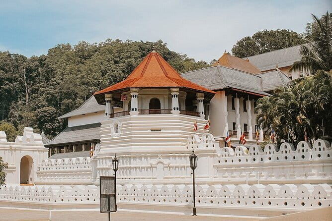Sri Lanka Tour Plan - 14 Days - Private Transport And Hotel - Minneriya Safari: One of the Best “Wild Sri Lanka” Days