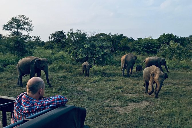 Sri Lanka Wild Life Uniqe Safari 26 - Key highlights worth planning around