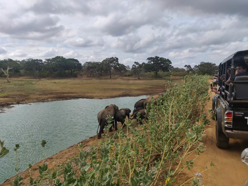 Sri Lanka: Yala National Park Private Safari - How the Safari Window Works Inside Yala