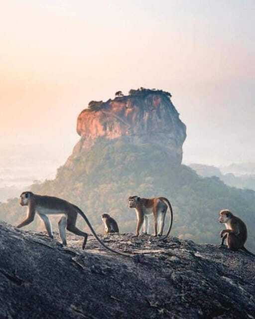 Sunrise or Sunset Hike Pidurangala Rock with Scenic Views - Difficulty, weather, and what to bring (so you stay happy on top)