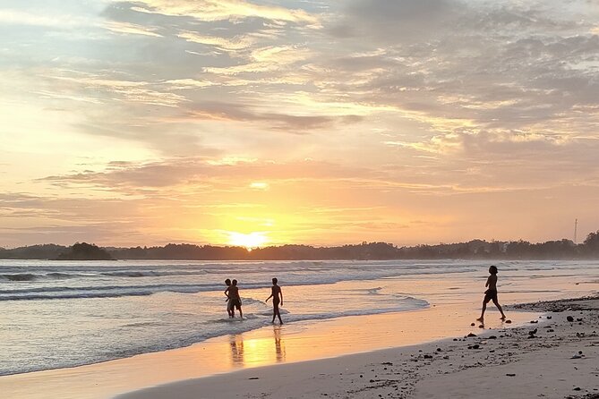 Surf Camp in Weligama Beach Sri Lanka - Weligama Bay: Why this surf spot helps you progress