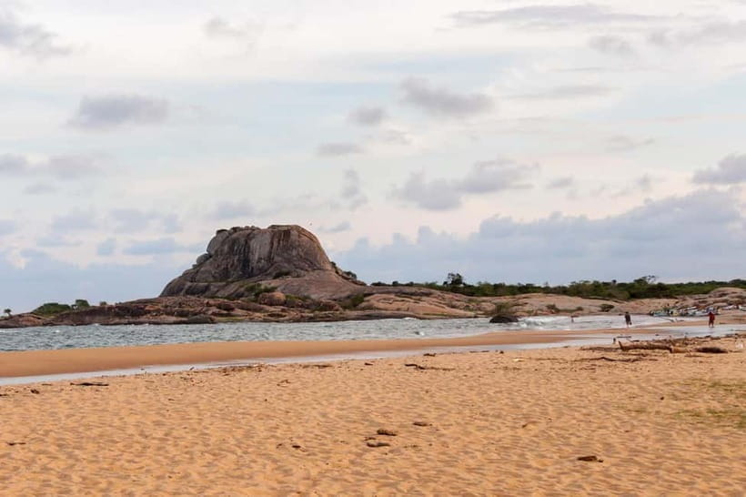 Tangalle/Hiriketiya/Mirissa: Shuttle to Ella and Yala Safari - Wildlife highlights at Yala: elephants, sloth bears, crocodiles, and leopard odds
