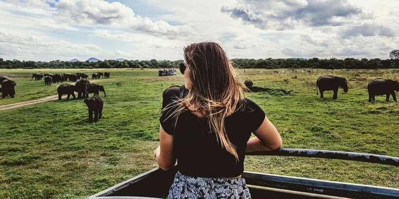 Tangalle/Hiriketiya: Udawalawa Safari & Elephant Orphanage - Key points to know before you go