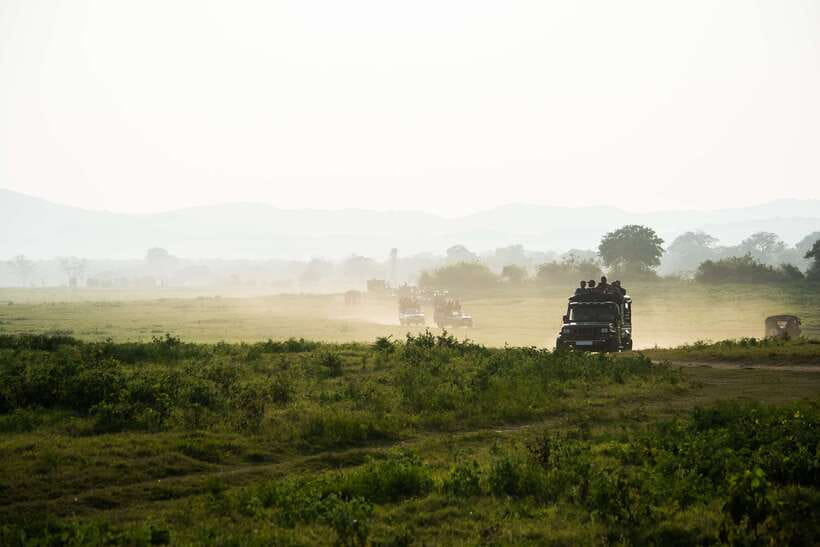 Tangalle/Hiriketiya: Yala National Park Safari in a 4x4 - Key things to know (before you book)
