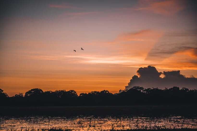 Tangalle/Hiriketiya: Yala National Park Safari in a 4x4 - Comfort, safety, and sanity tips for an early start safari