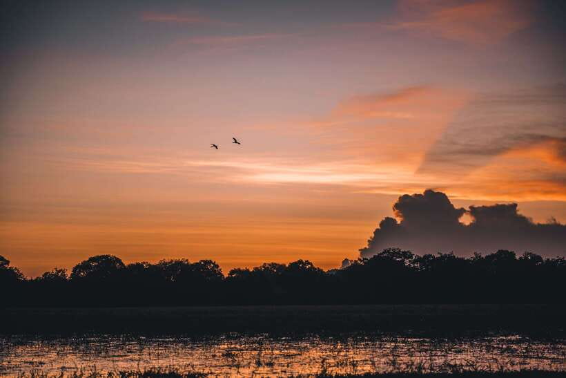 Tangalle/Hiriketiya: Yala National Park Safari in a 4x4 - Ruhunu Yala National Park: the wildlife targets and why the park earns the hype