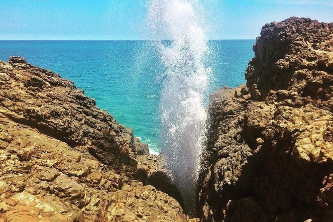 Tangalle Sightseeing Tour - Price and Value: Is $39 a Fair Deal?
