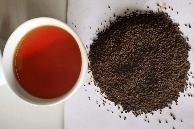 Tea Fields & Factory Tour - Inside the tea factory: what each stage does to the leaf