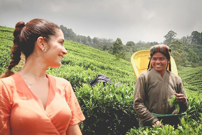 Tea Fields & Factory Tour - The pluckers village and temple: why this stop matters