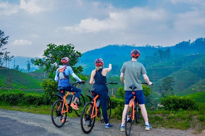 Tea Loops E-Biking - Tea country by e-bike: what makes the Tea Loops experience work
