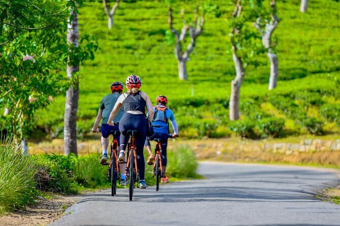 Tea Loops E-Biking - Roads through Maskeliya, Maussakelle, and Adams Peak area