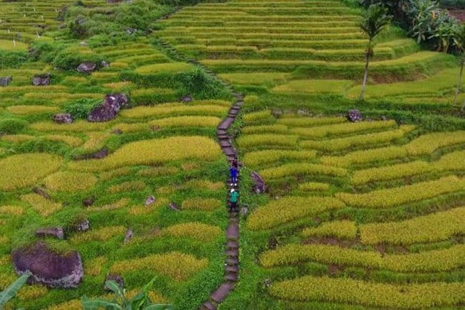 Tea Loops E-Biking - Temples and All Saints Church (1876): culture on the same loop